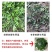 荠荠菜承接各大平台订单一件也是批发价
