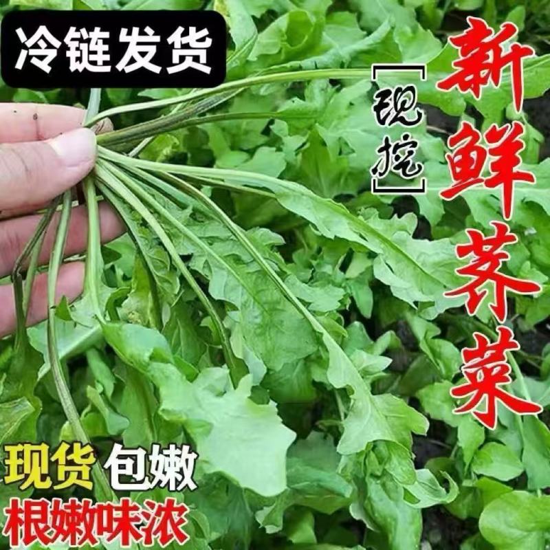 荠荠菜承接各大平台订单一件也是批发价