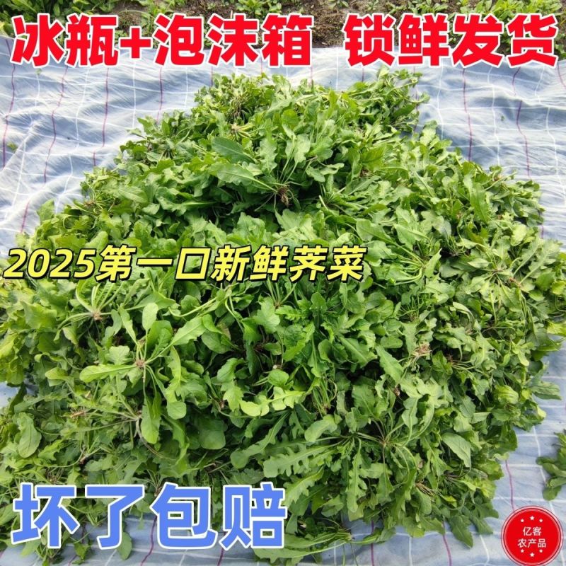 荠荠菜承接各大平台订单一件也是批发价