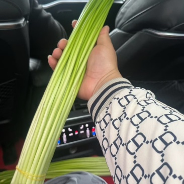 四川白帽蒜苔，各种规格，各种包装，价格明细。
