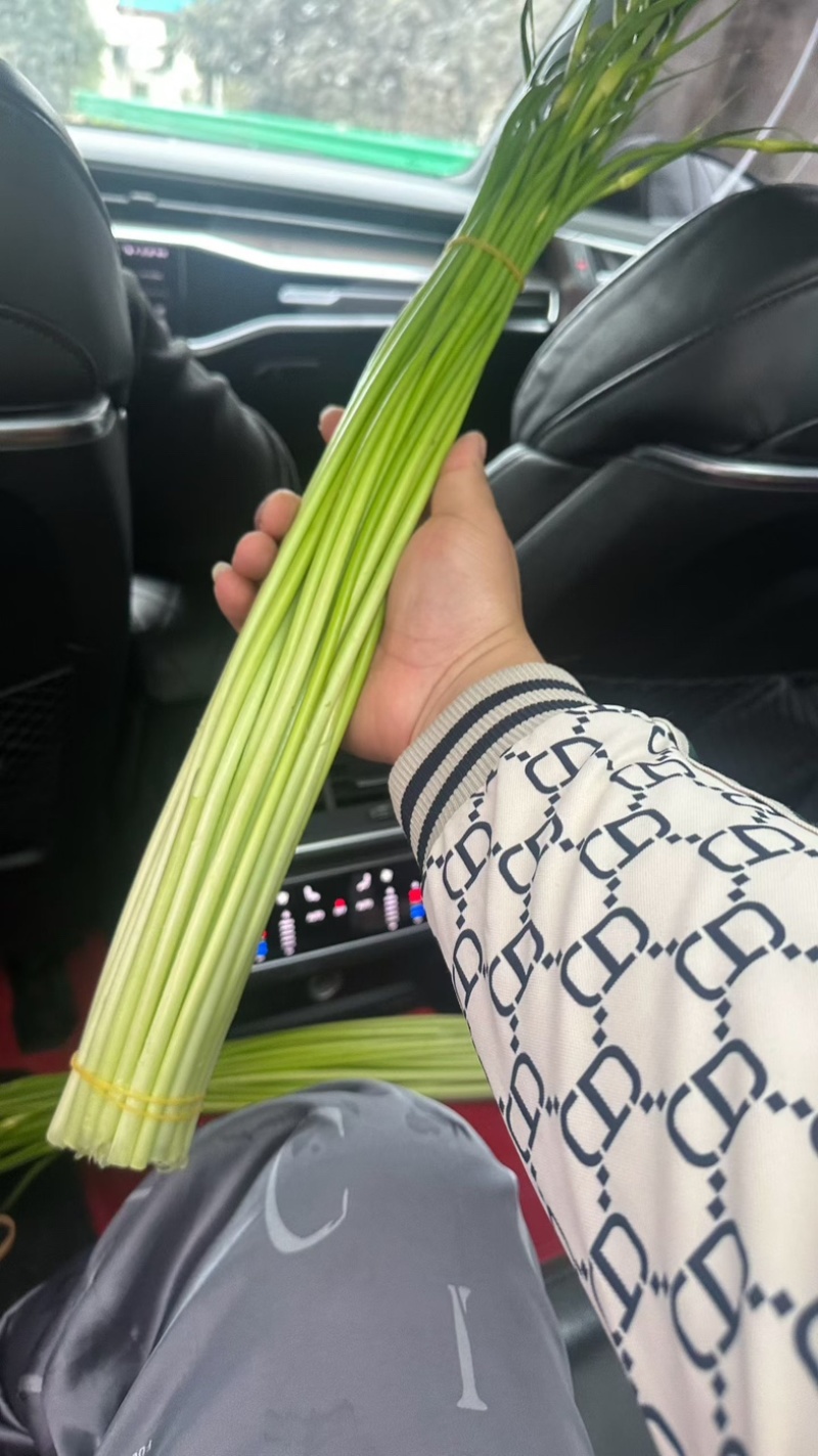 四川白帽蒜苔，各种规格，各种包装，价格明细。