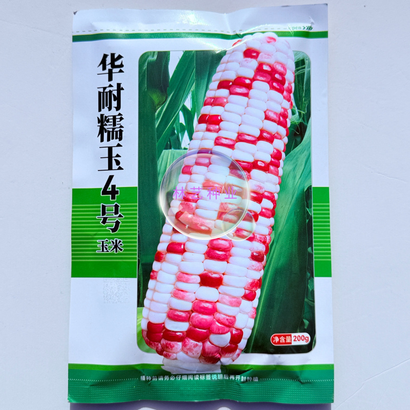 华耐糯玉4号玉米种子皮薄糯甜软粘鲜食紫白彩糯玉米种籽春秋