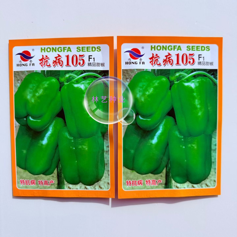 抗病105辣椒种子早熟甜椒种籽翠绿方灯笼椒种籽抗病肉质脆