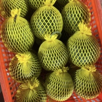 农友次品瓜装筐发货东莞，坐等下一批上市