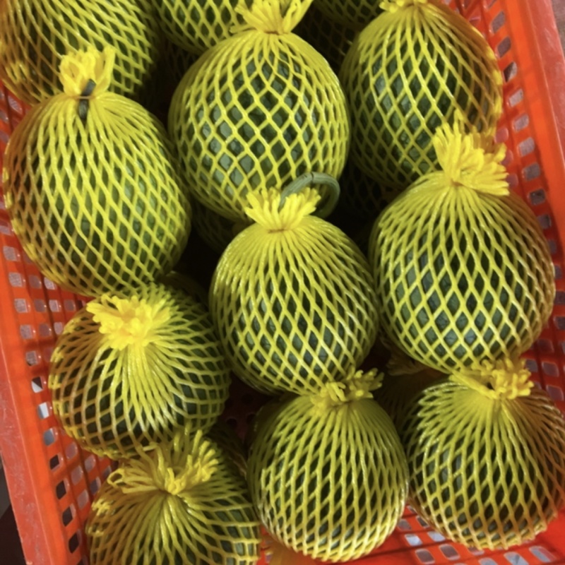 农友次品瓜装筐发货东莞，坐等下一批上市