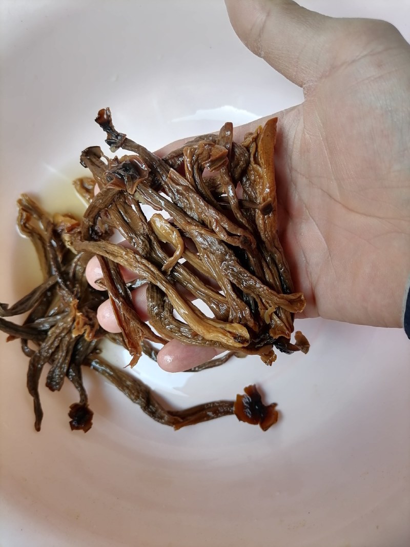 变色鹿茸菇，便宜鹿茸菇，低价鹿茸菇，鹿茸水菇，跑色鹿茸菇