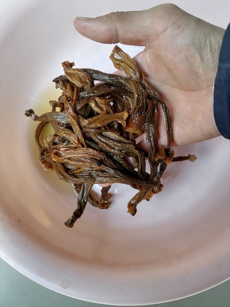 变色鹿茸菇，便宜鹿茸菇，低价鹿茸菇，鹿茸水菇，跑色鹿茸菇