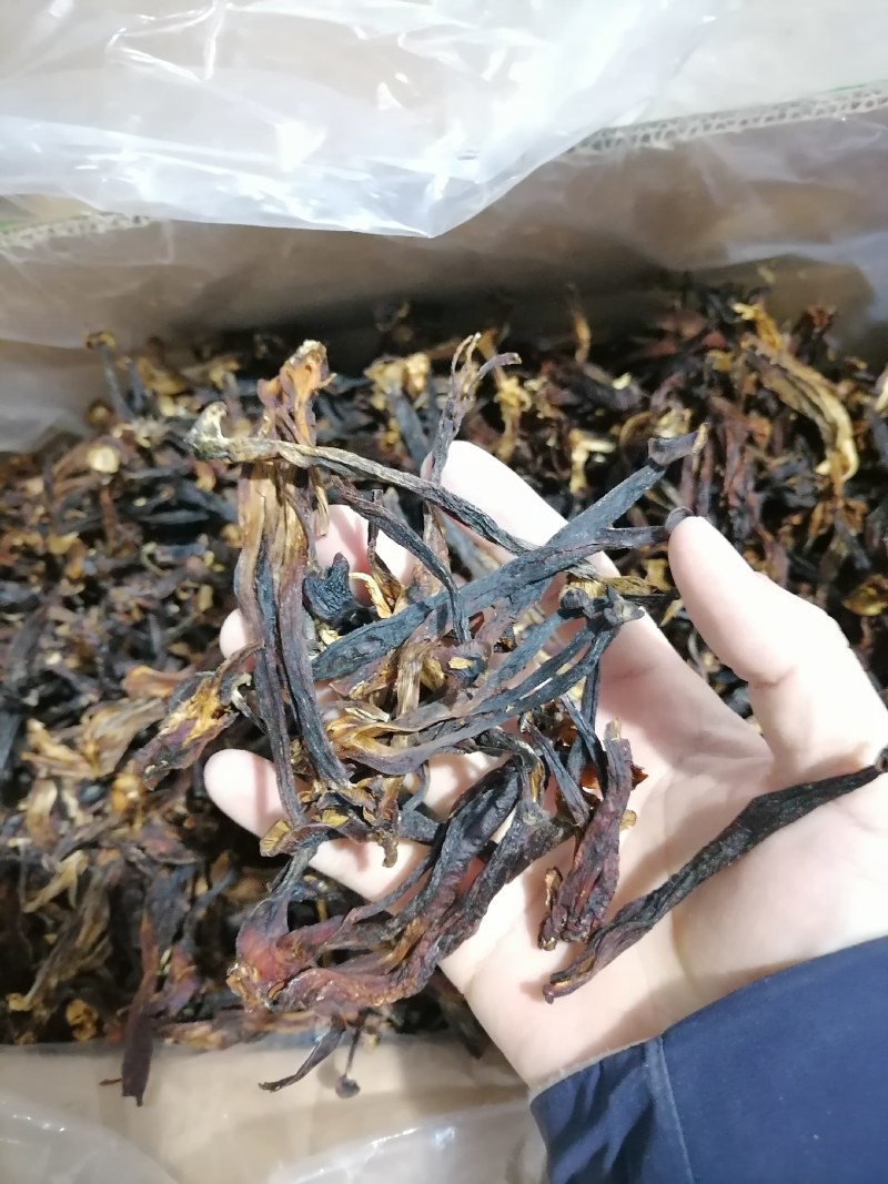 变色鹿茸菇，便宜鹿茸菇，低价鹿茸菇，鹿茸水菇，跑色鹿茸菇