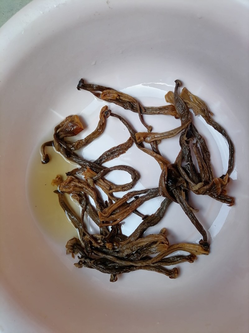 变色鹿茸菇，便宜鹿茸菇，低价鹿茸菇，鹿茸水菇，跑色鹿茸菇