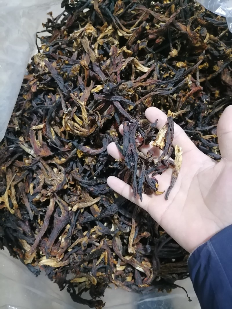 变色鹿茸菇，便宜鹿茸菇，低价鹿茸菇，鹿茸水菇，跑色鹿茸菇