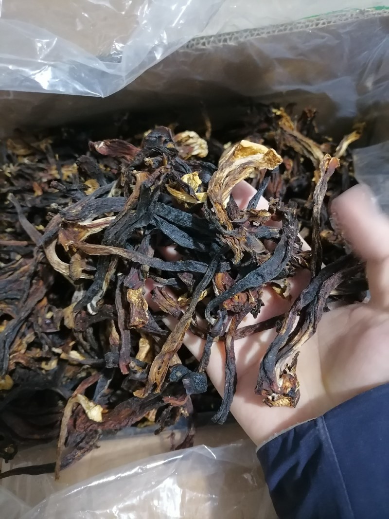变色鹿茸菇，便宜鹿茸菇，低价鹿茸菇，鹿茸水菇，跑色鹿茸菇