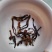 变色鹿茸菇，便宜鹿茸菇，低价鹿茸菇，鹿茸水菇，跑色鹿茸菇