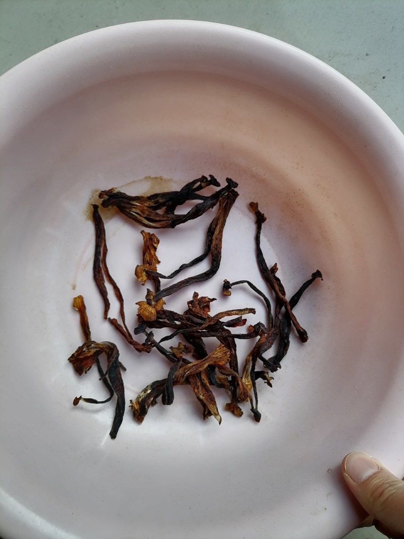 变色鹿茸菇，便宜鹿茸菇，低价鹿茸菇，鹿茸水菇，跑色鹿茸菇
