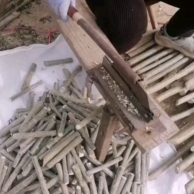 107速生杨