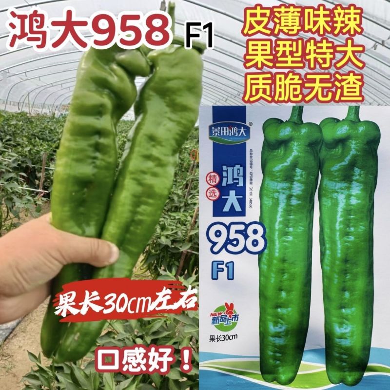 鸿大958辣椒种子特大牛角椒种子早中熟耐热大号薄皮辣椒种