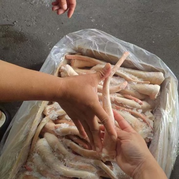肥猪长尾