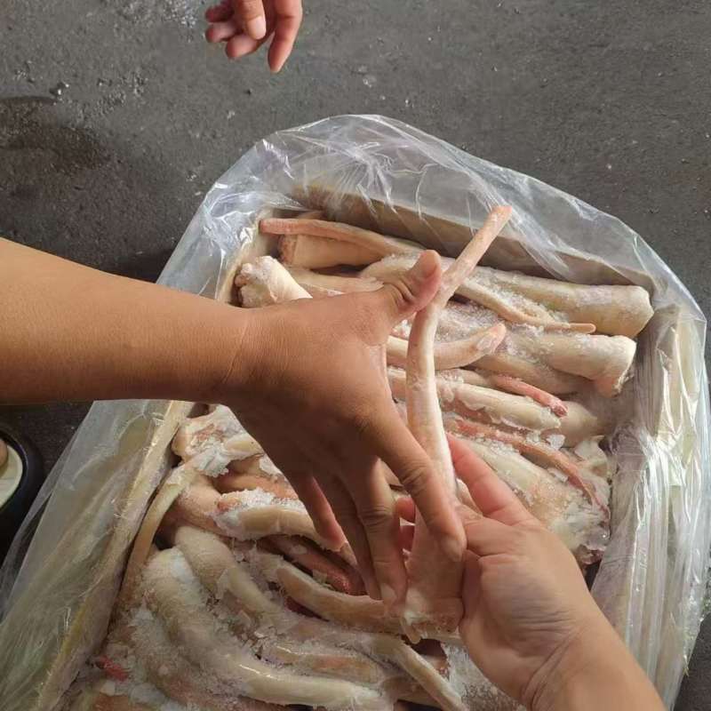 肥猪长尾