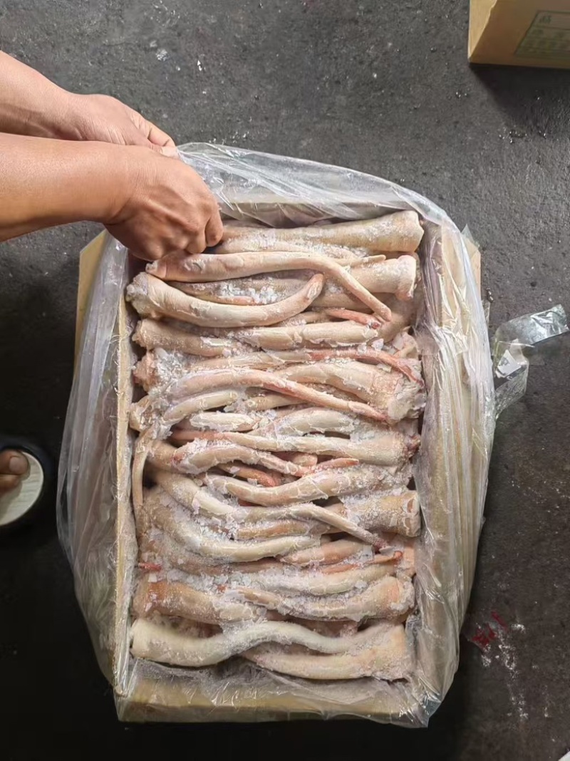 肥猪长尾