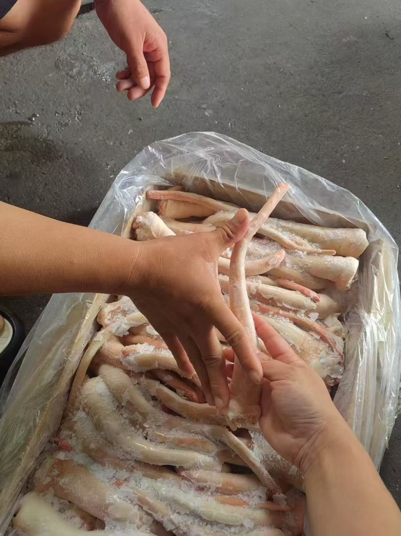肥猪长尾