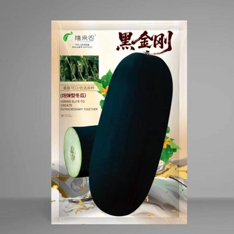 黑皮冬瓜种子果实长圆柱形墨绿色耐储运品质好南北均可种植