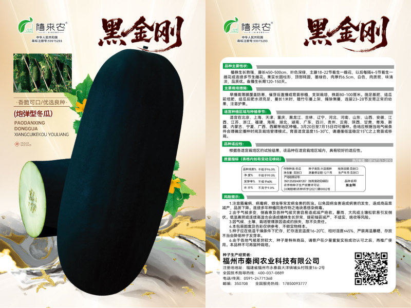 黑皮冬瓜种子果实长圆柱形墨绿色耐储运品质好南北均可种植