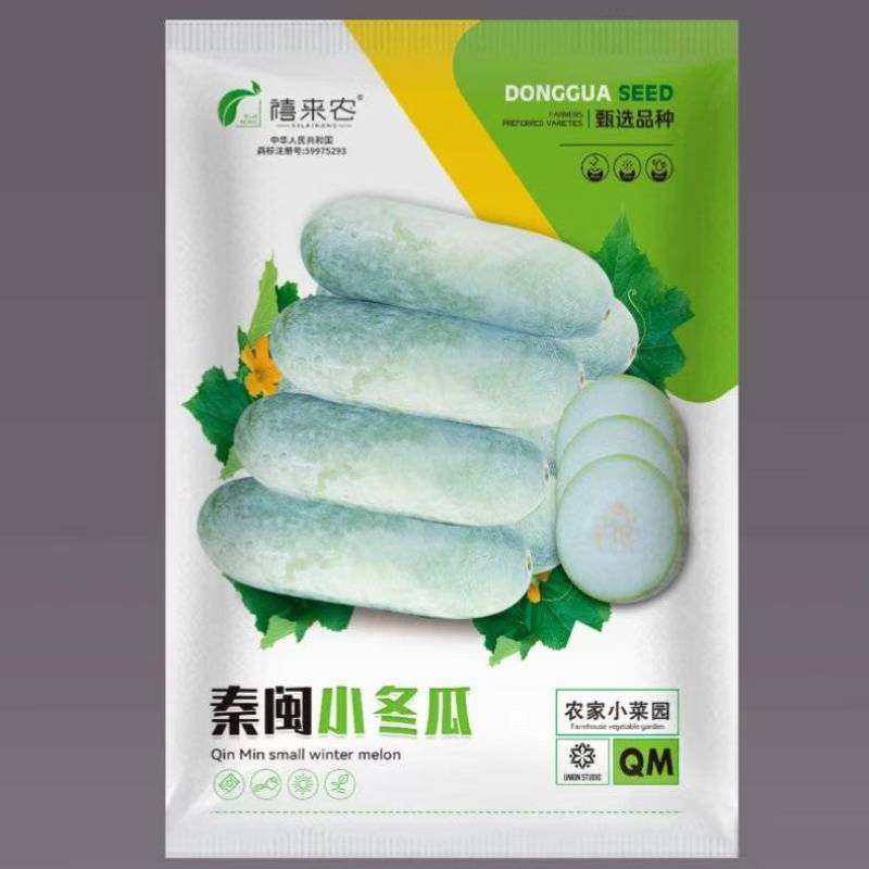 迷你小冬瓜种子实心小冬瓜种子粉皮高产小冬瓜小南瓜种子
