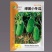 早熟绿美小冬瓜种子杂交小冬瓜农家庭院种植蔬菜种子