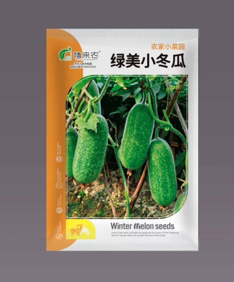 早熟绿美小冬瓜种子杂交小冬瓜农家庭院种植蔬菜种子