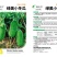 早熟绿美小冬瓜种子杂交小冬瓜农家庭院种植蔬菜种子