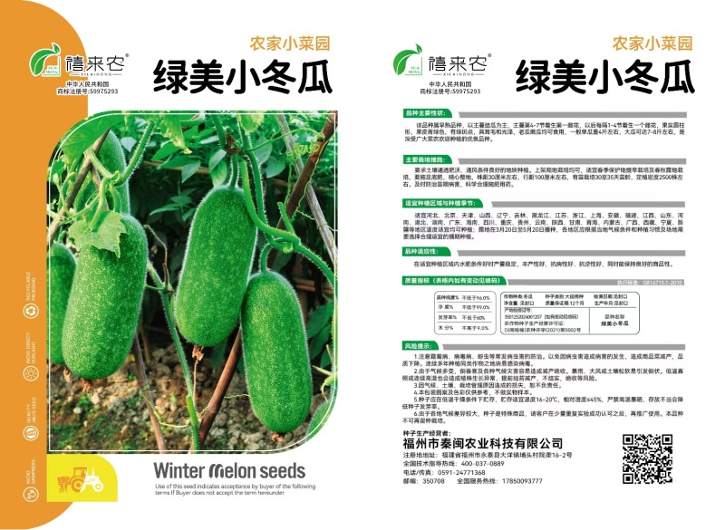 早熟绿美小冬瓜种子杂交小冬瓜农家庭院种植蔬菜种子