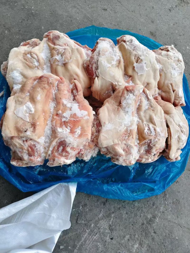 无耳猪头
