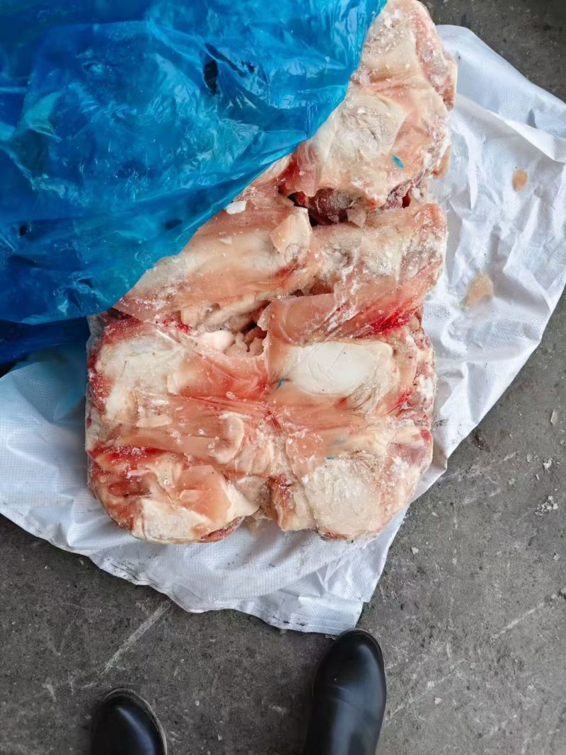 无耳猪头
