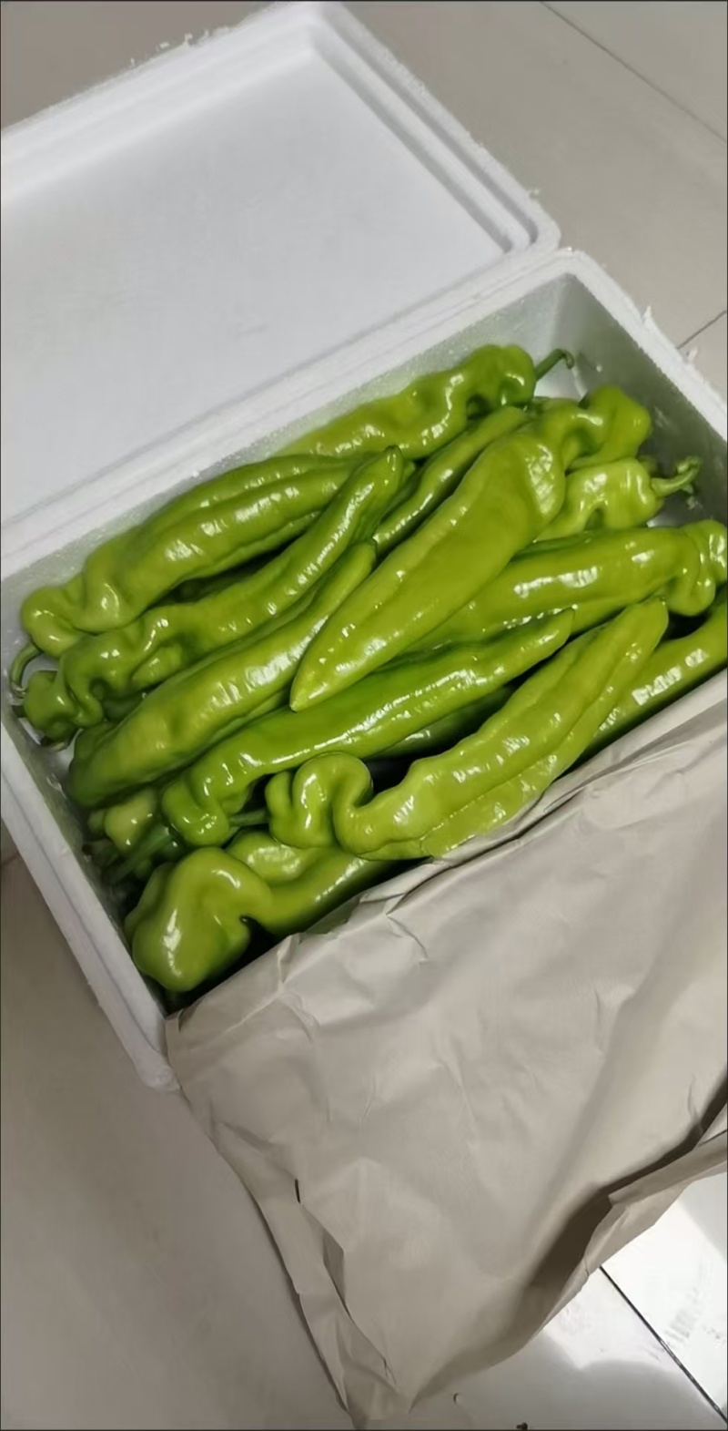 寿光辣椒羊角椒鲜辣可口对接全国量大从优欢迎采购热卖中
