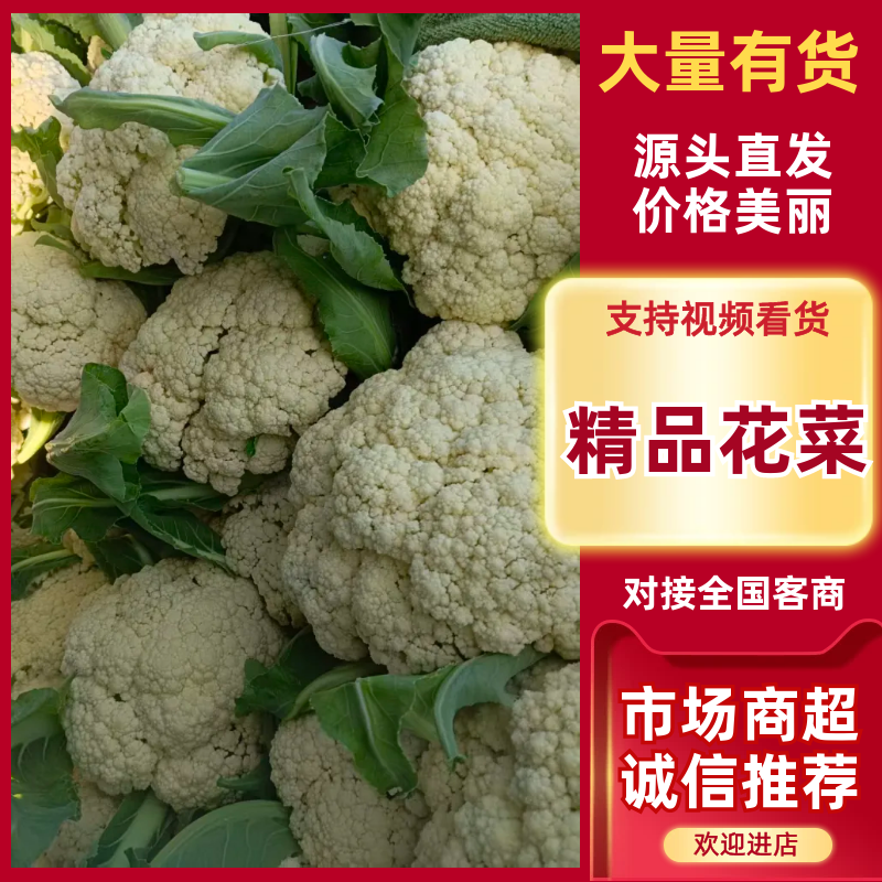 【热卖】精品松花菜山东菜花产地直发质量保证量大从优