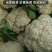 【热卖】精品松花菜山东菜花产地直发质量保证量大从优