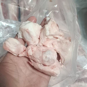 蘑菇筋