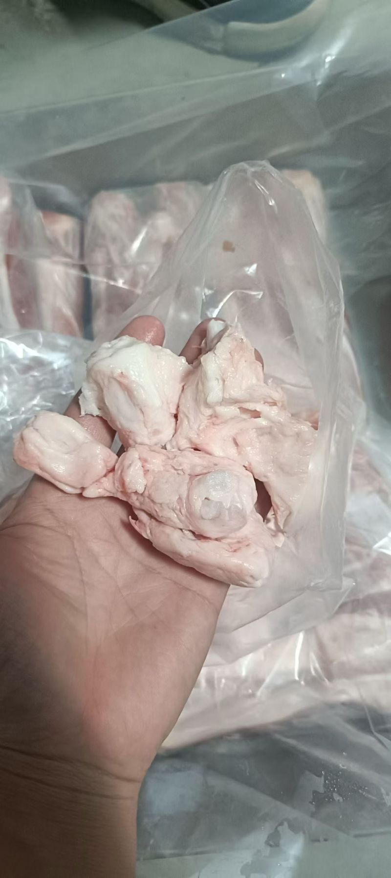蘑菇筋