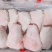 肥猪前肘