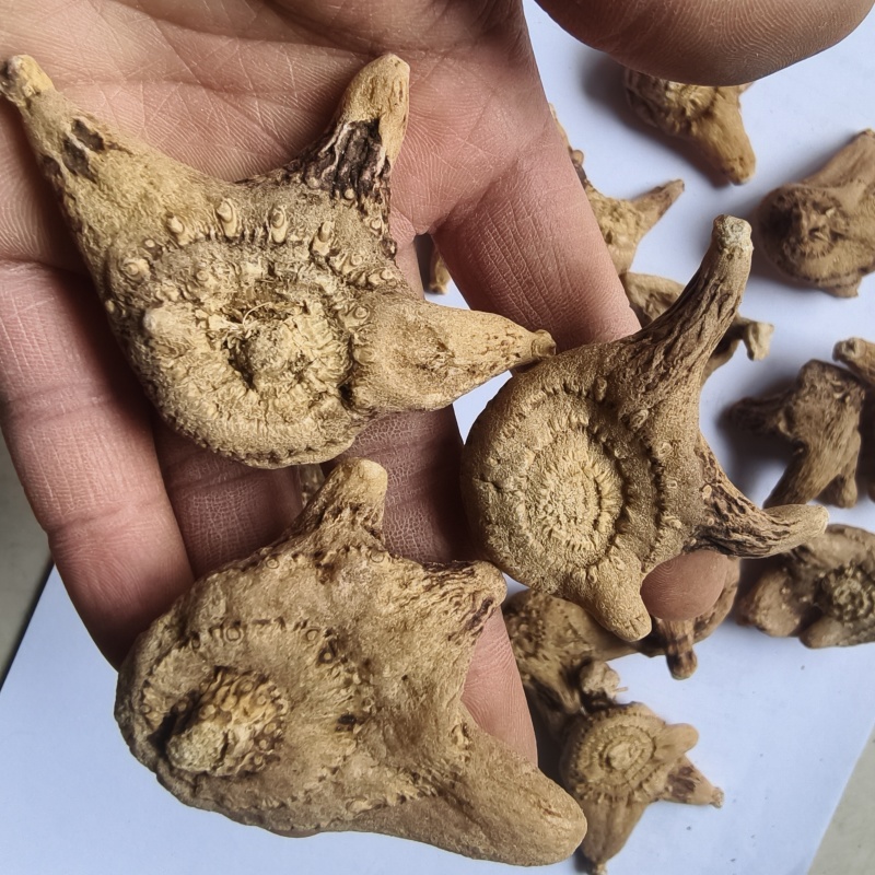 白芨无硫三叉白芨片纯干货批发中药材规格齐全