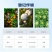 宝灵盖敌44%氯氰丙溴磷氯氰菊酯棉铃虫潜叶蛾小菜蛾