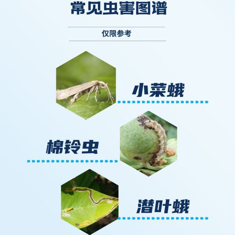 宝灵盖敌44%氯氰丙溴磷氯氰菊酯棉铃虫潜叶蛾小菜蛾