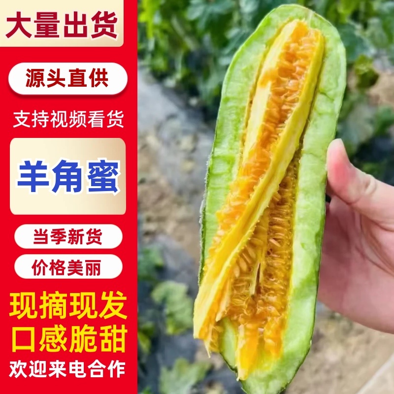 山东寿光羊角蜜甜瓜/产区直发/货源充足/欢迎选购