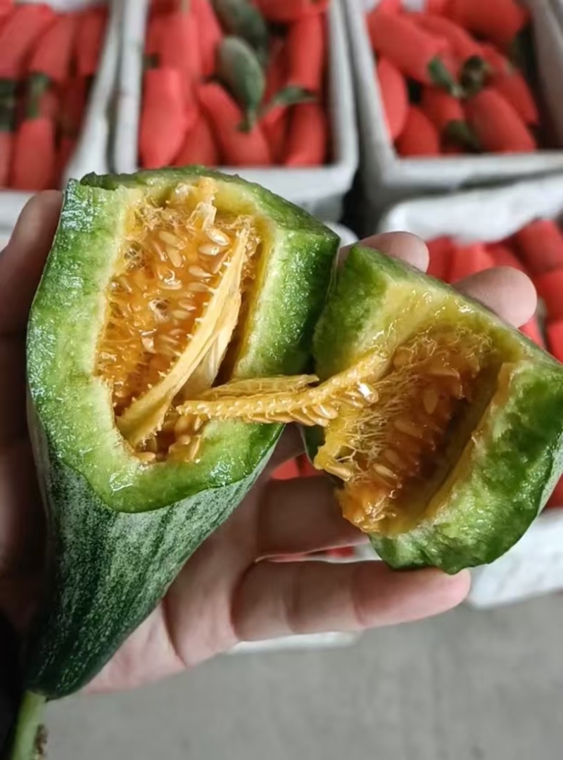 山东寿光羊角蜜甜瓜/产区直发/货源充足/欢迎选购