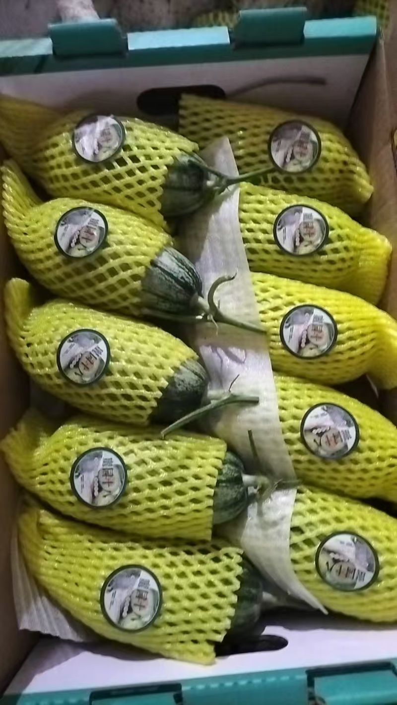 山东寿光羊角蜜甜瓜/产区直发/货源充足/欢迎选购