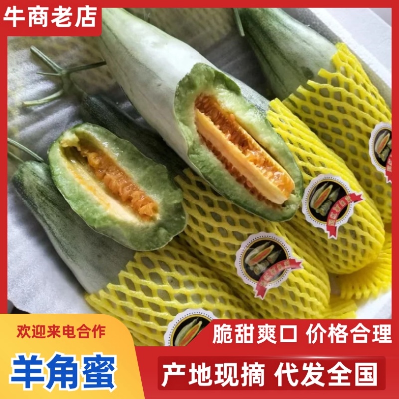 山东寿光羊角蜜甜瓜/产区直发/货源充足/欢迎选购