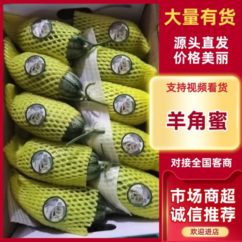 山东寿光羊角蜜甜瓜/产区直发/货源充足/欢迎选购