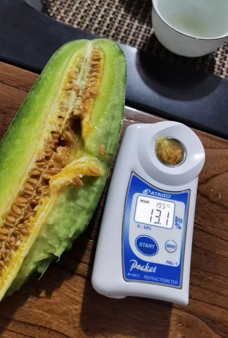 山东寿光羊角蜜甜瓜/产区直发/货源充足/欢迎选购