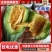 山东寿光羊角蜜甜瓜/产区直发/货源充足/欢迎选购