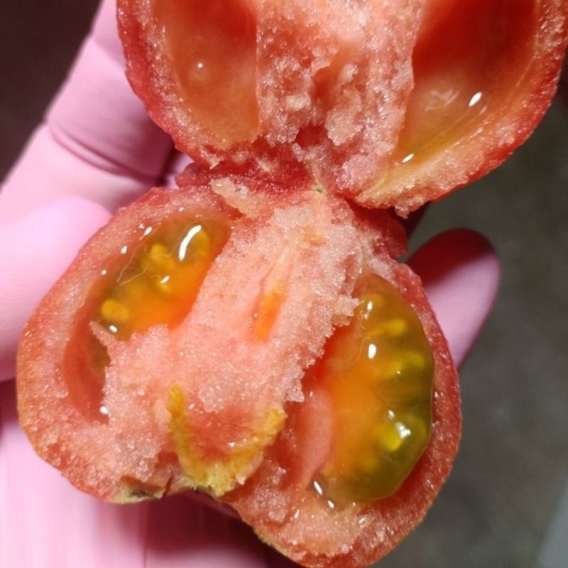 常年供应草莓西红柿，自己工人对接市场平台