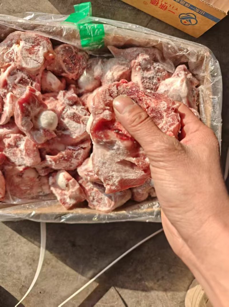 国产棒骨头，现货现发含肉量高